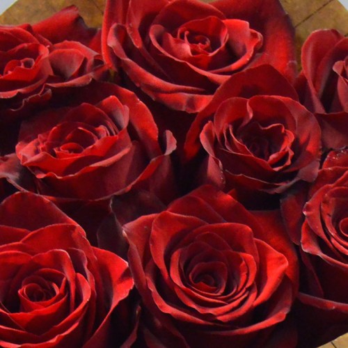 Букет Красные розы в крафте из 9 роз - заказать и купить с доставкой |  Служба доставки цветов п. Лев Толстой Лев-Толстовский район Липецкая область
